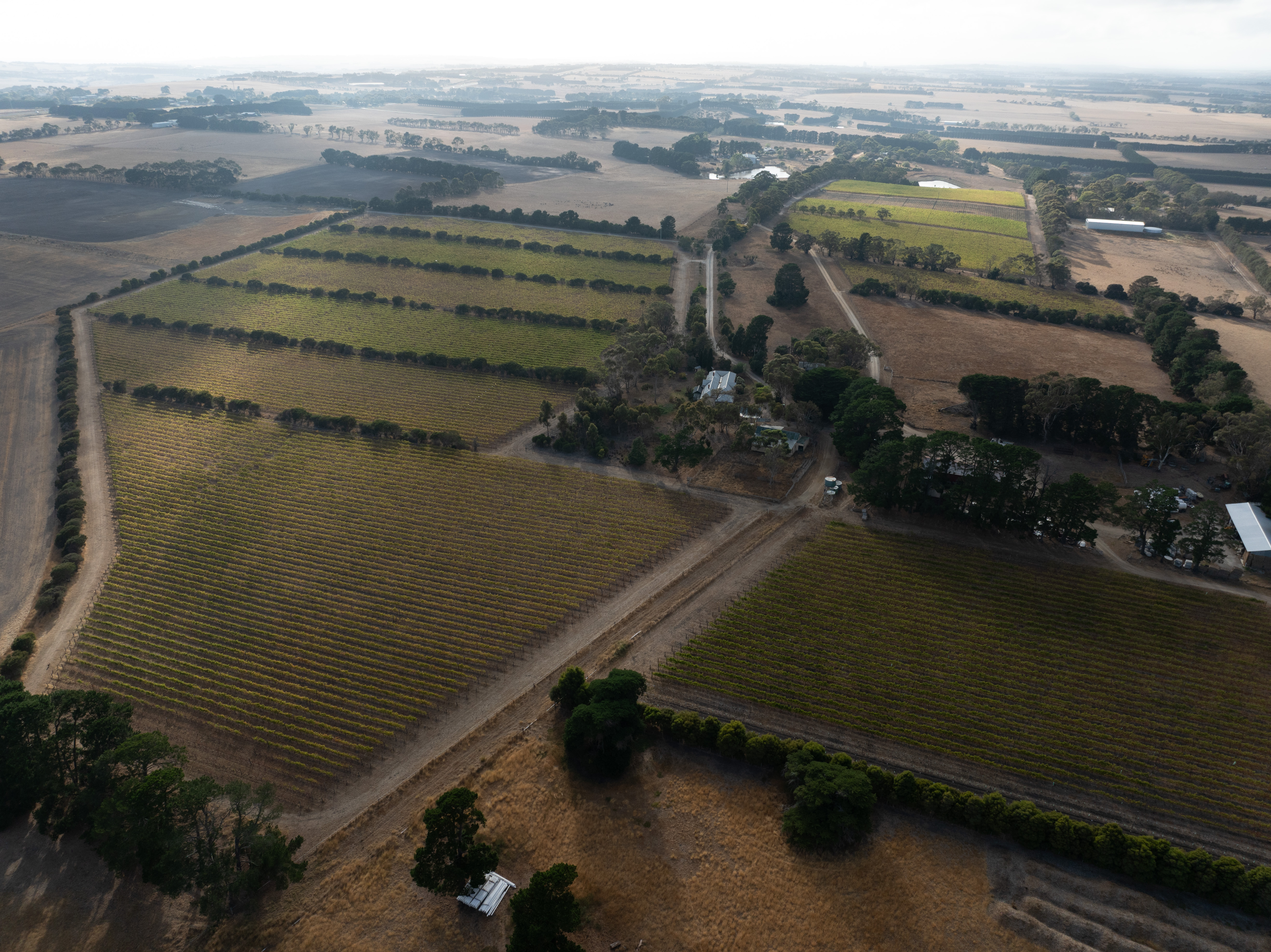 Mount Moriac Aerial vineyard full shot copy