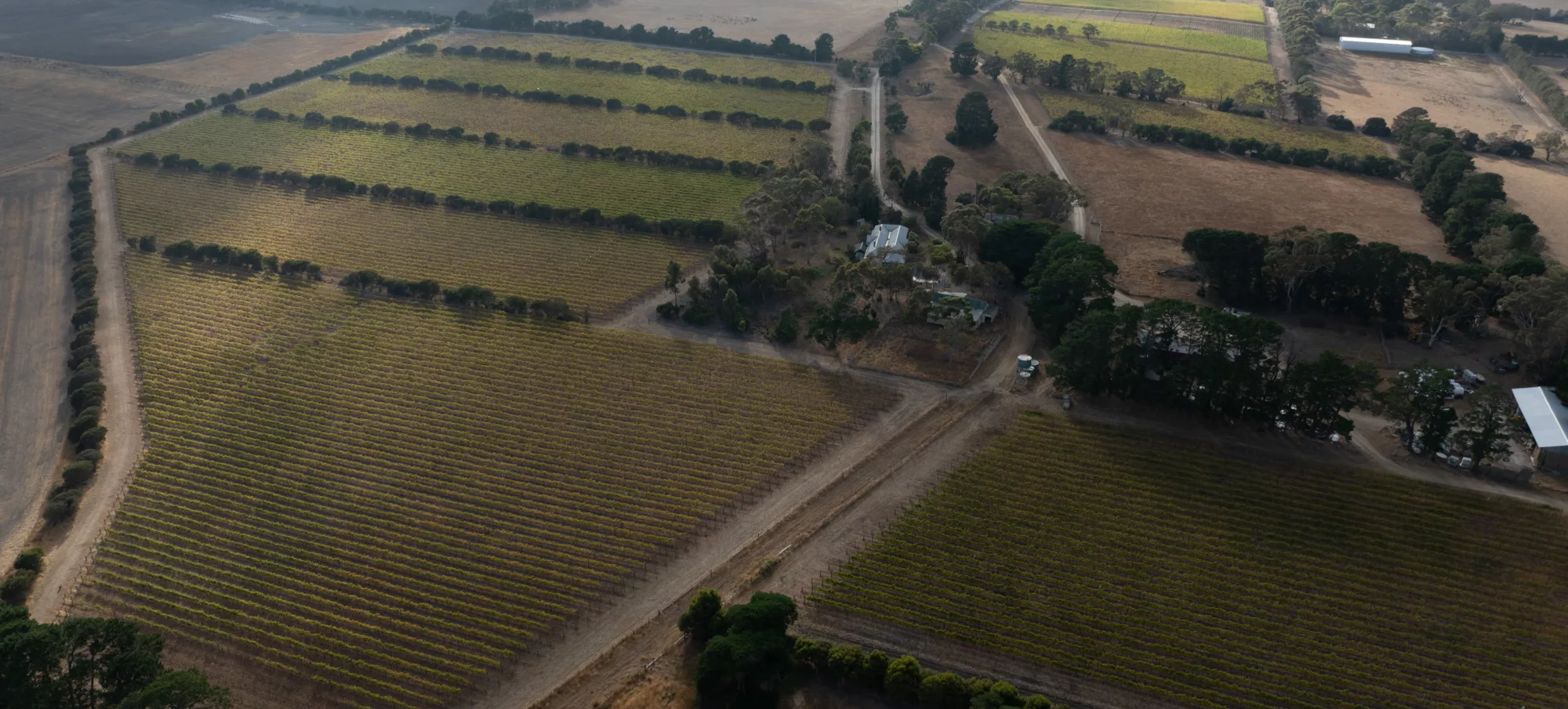 Mount Moriac Aerial vineyard full shot copy