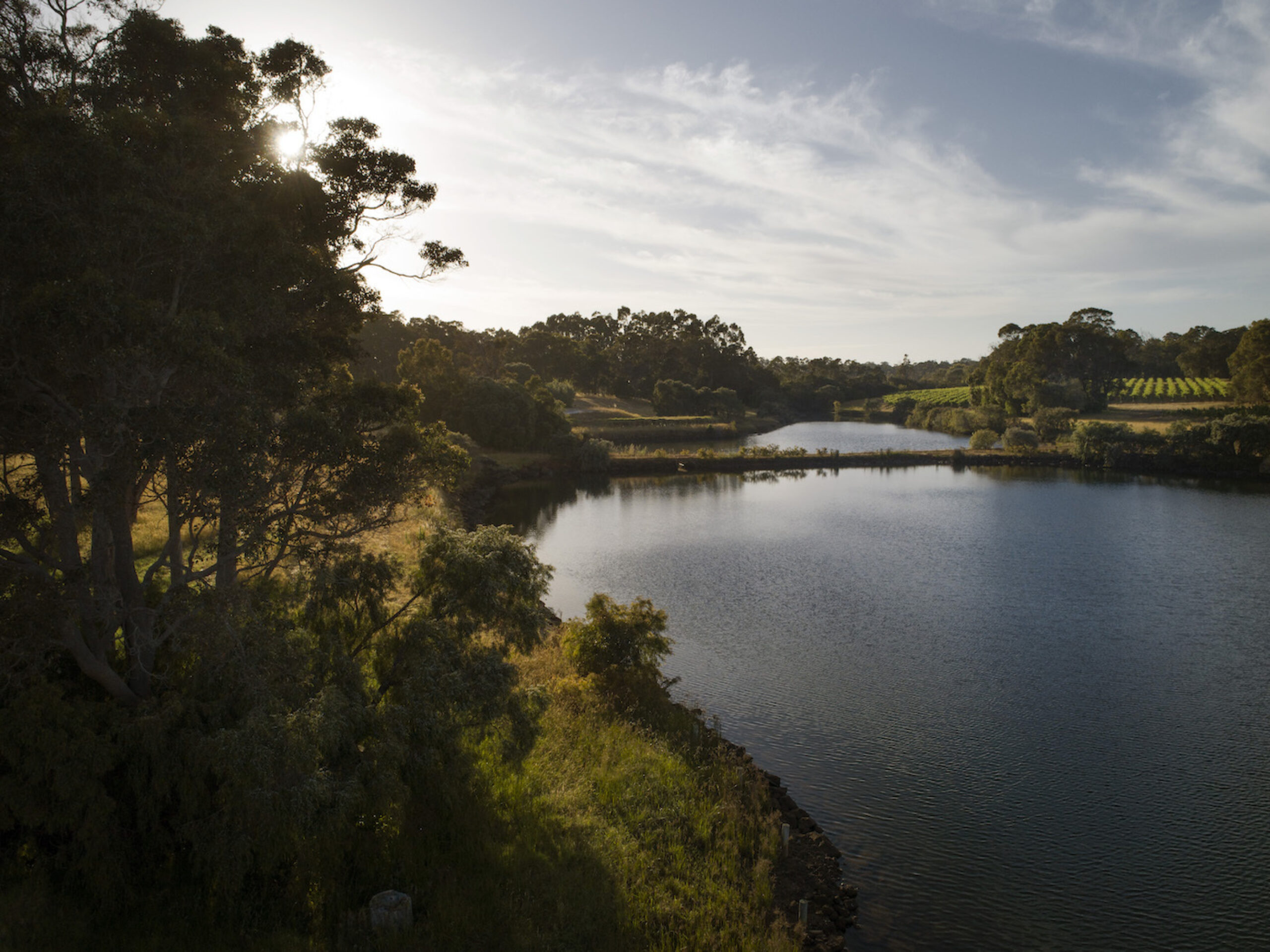 Wayfinder Hero DJI 0246 low res fletchervisuals copy