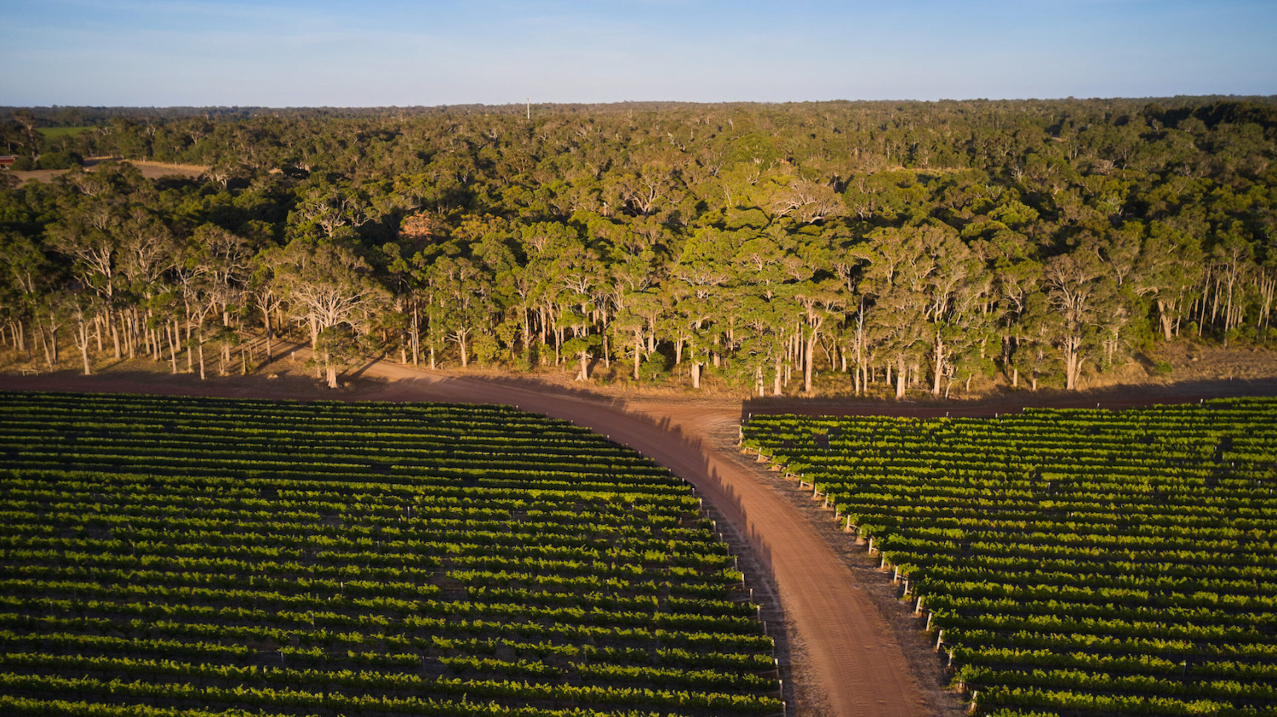 Overstory 2023 Elliot Ramsay xlightco 0617 copy