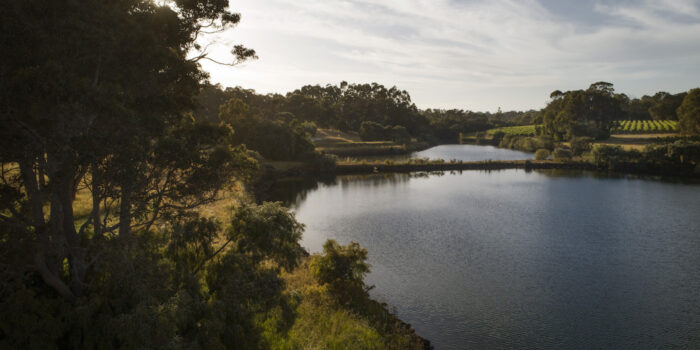 Wayfinder Hero DJI 0246 low res fletchervisuals copy