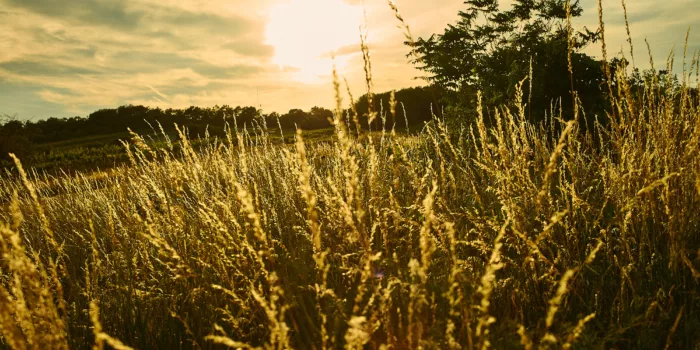 Birgit braunstein hero
