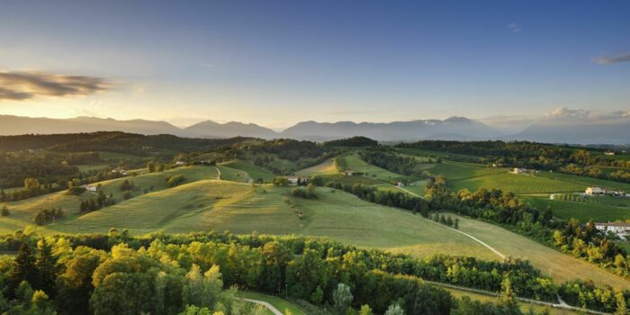 3 Panorama Landscape