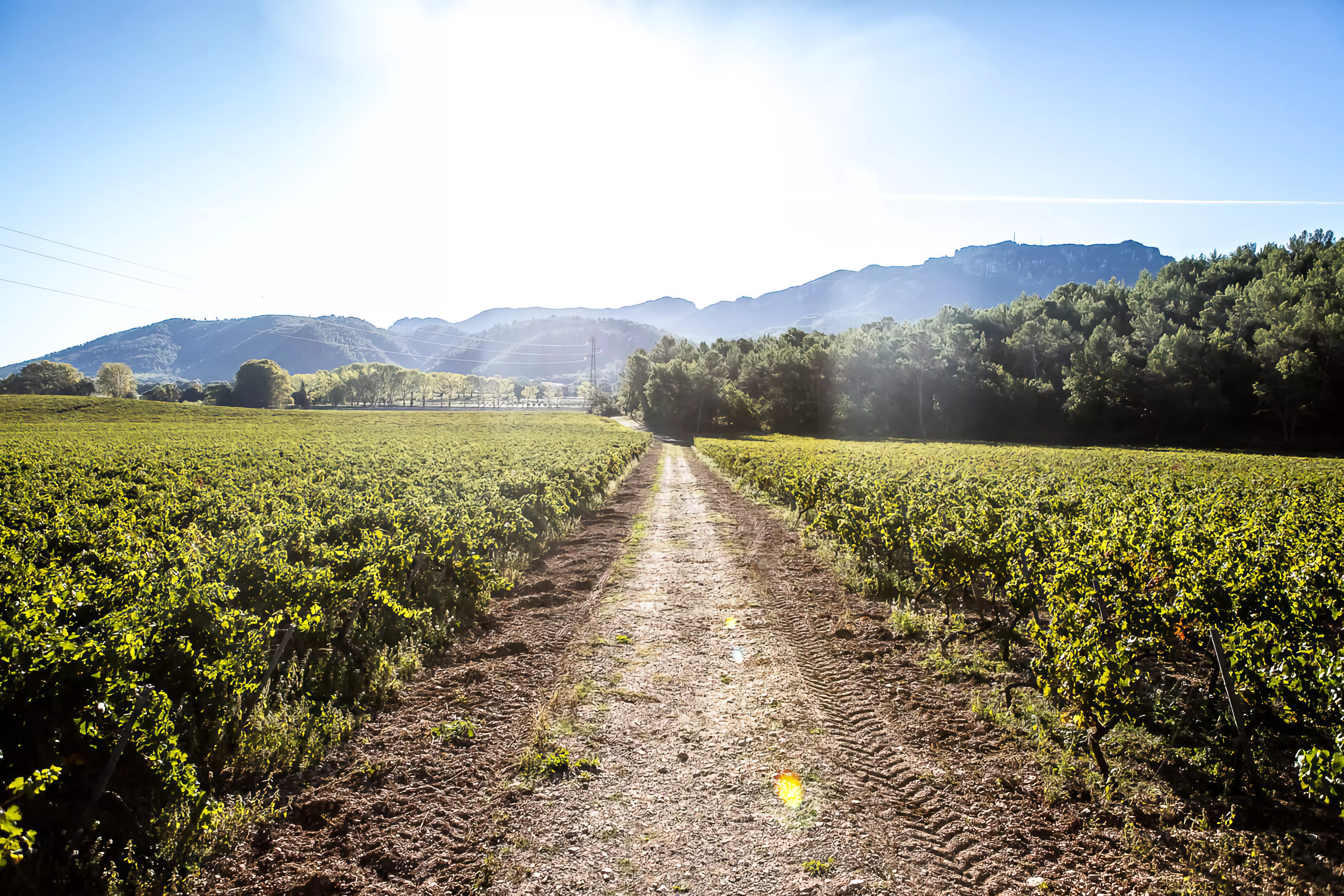 Domainesaintjulien bienvenue au domaine saint julien accueil 3