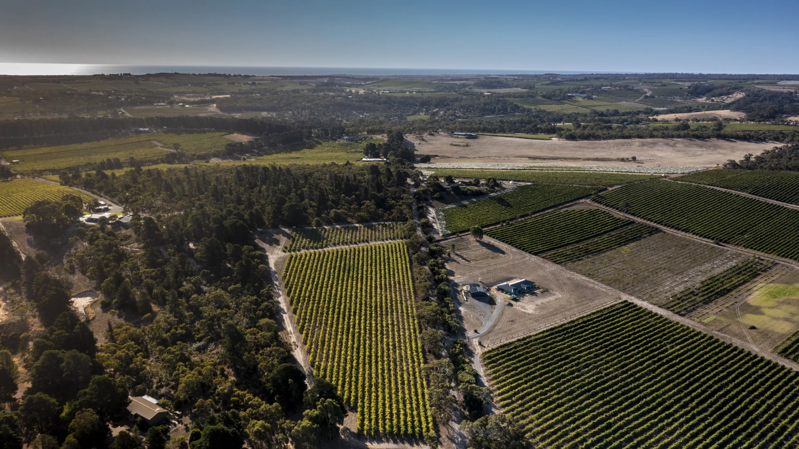 Larnook wines sm