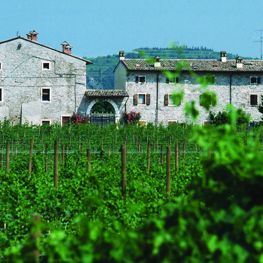 LE FRAGHE