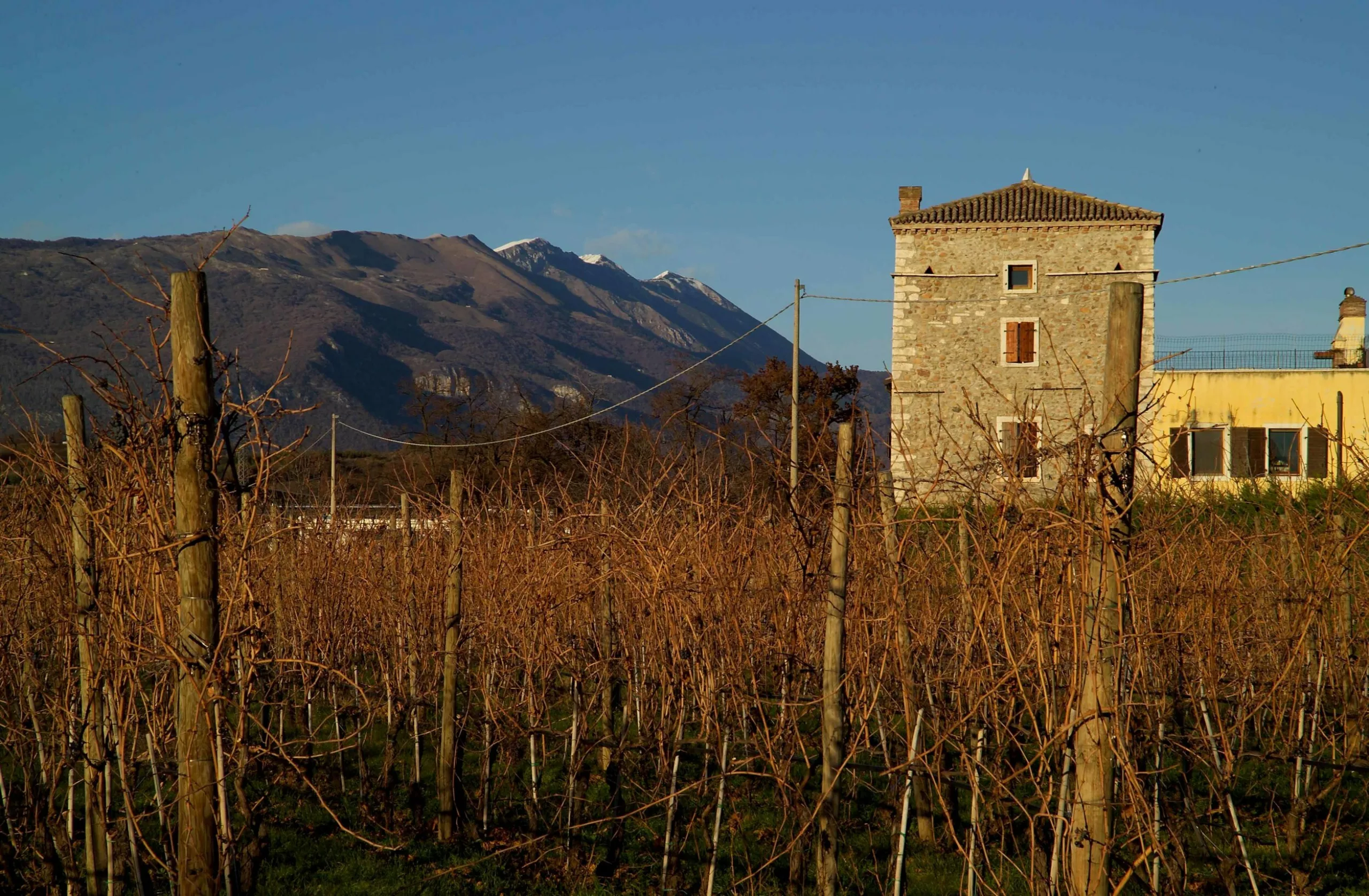 Monte Baldoevigna