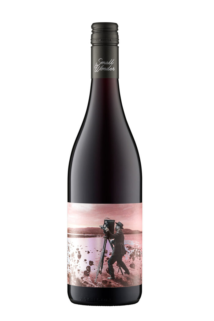 Small wonder pinot noir landscape