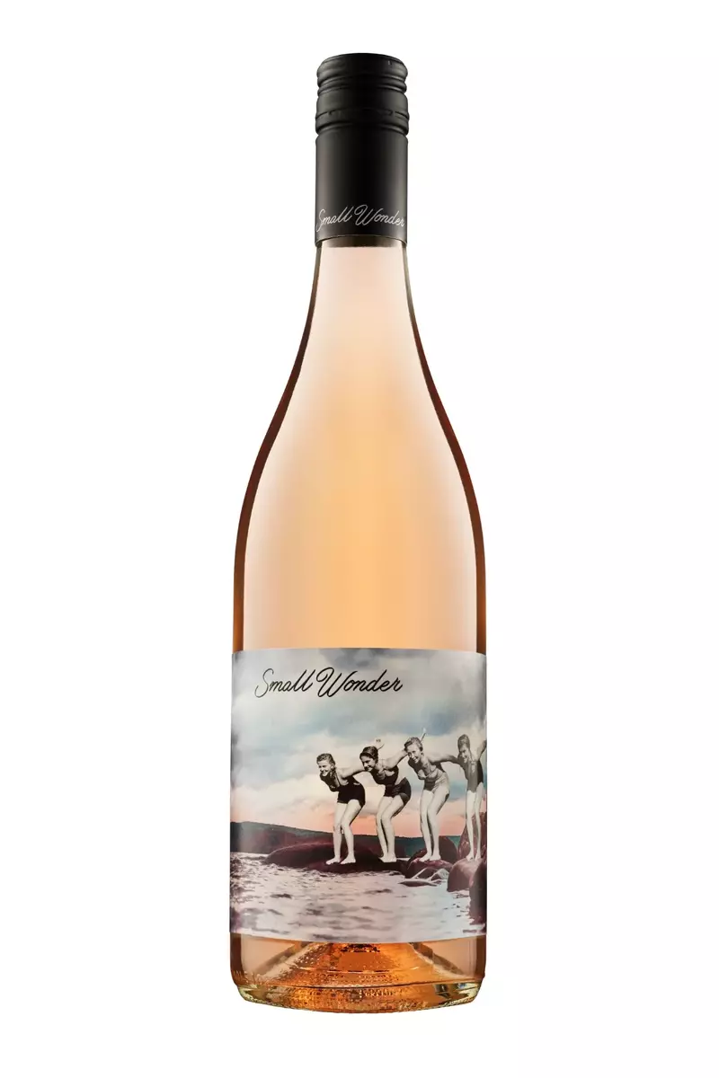 Small wonder landscape rose class=